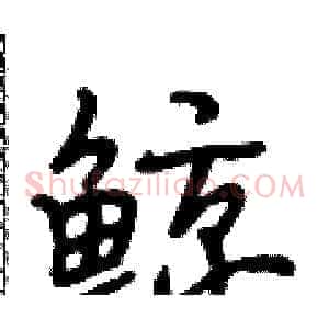鲸