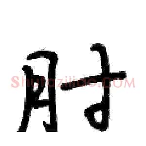 肘
