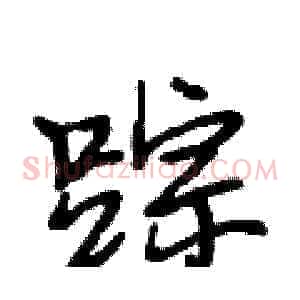 踪