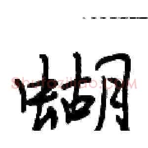 蝴