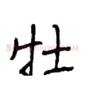牡