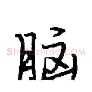 脑