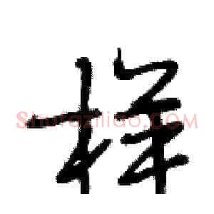 样