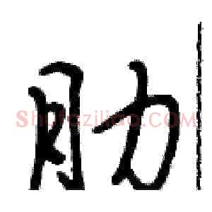 肋