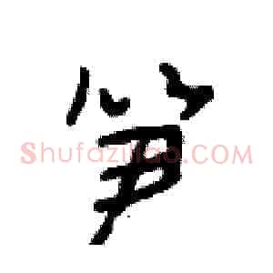 笋
