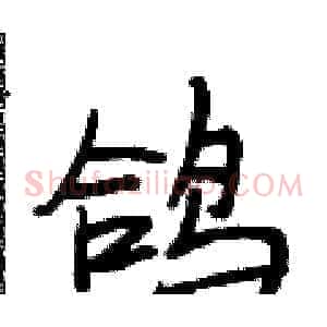 鸽