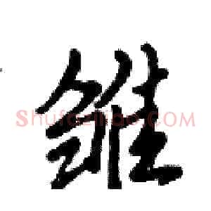 雏