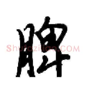 脾