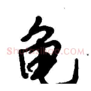 龟