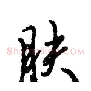 肤