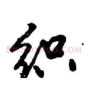 织