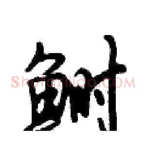 鲥