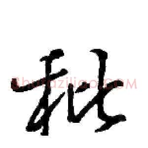 秕