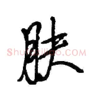 肤