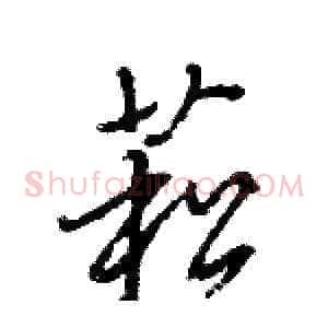 菘