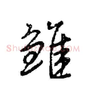 雏