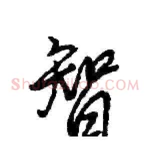 智