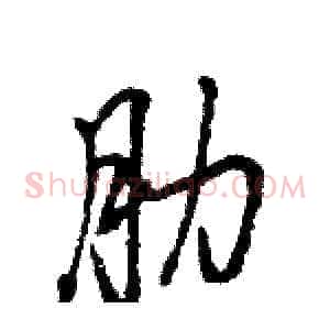 肋