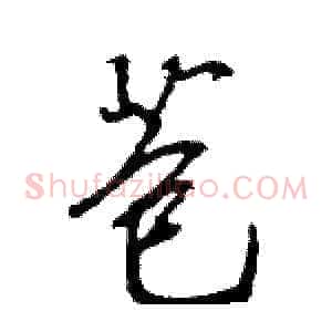 苞