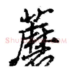 蘑