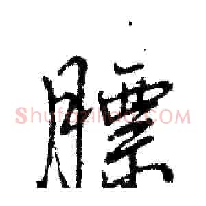 膘