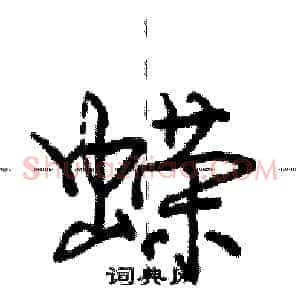 蝾