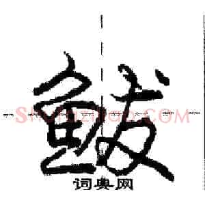 鲅