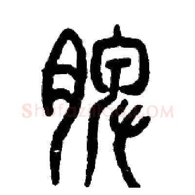 脾硬笔篆书写法,摘自张恒成硬笔书法字帖