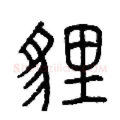 貍硬笔篆书写法,摘自曾庆福硬笔书法字帖