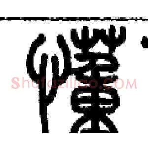 懂