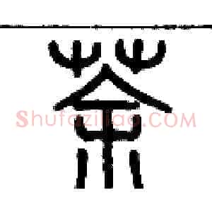 茶