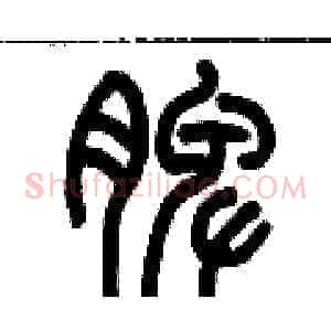 脾