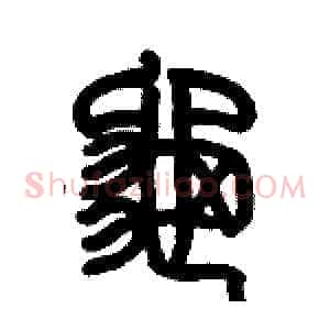 龜