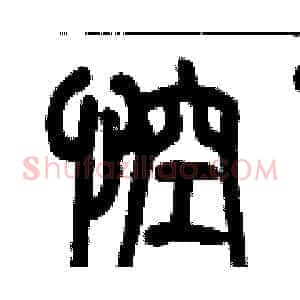 悾