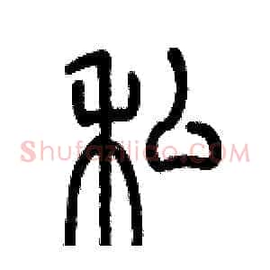私
