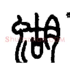 蝴