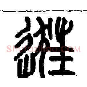 逛
