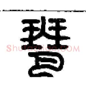 琶