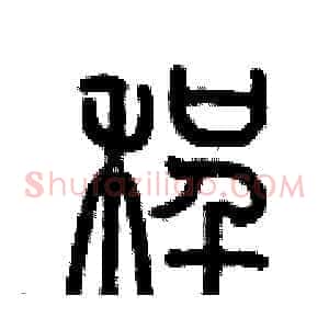 程