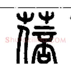 蓓