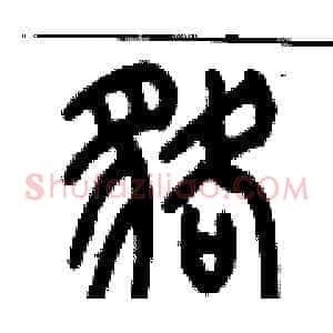 貉