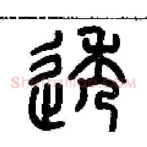 透