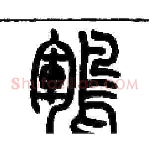 鶤