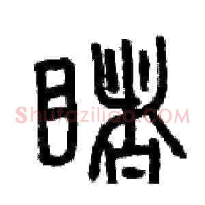 睹