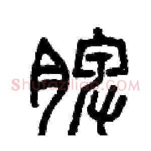 脾