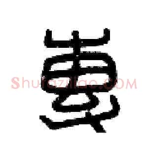 專