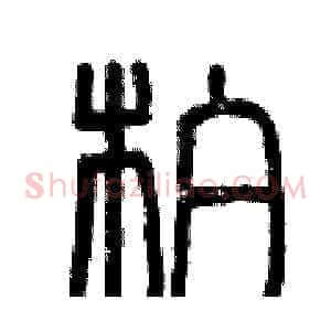 柏