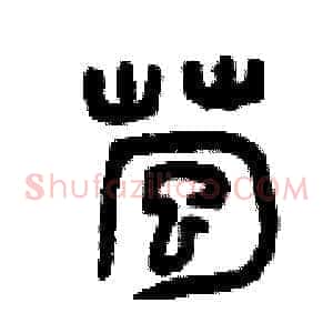 苞
