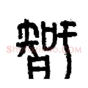 智