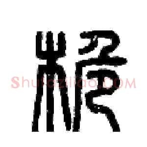桅